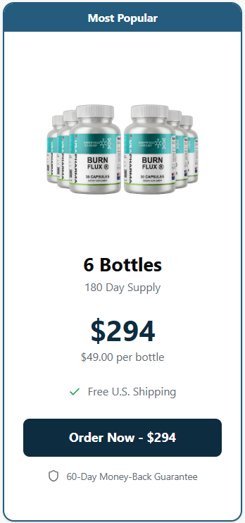 burnflux 6 bottles price